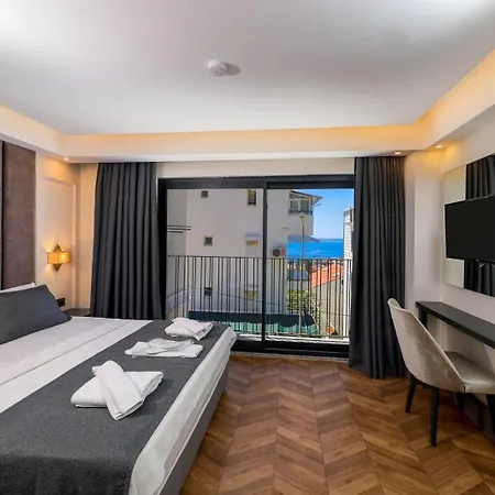 Brow Hotel 3*